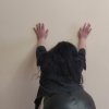 Проститутка Киева Надежда, снять за 3000 грн