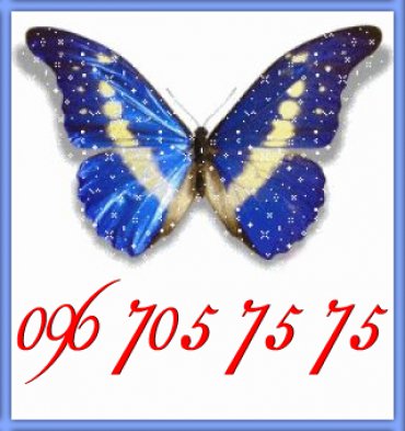 Проститутка Киева Butterfly, снять за 500 грн